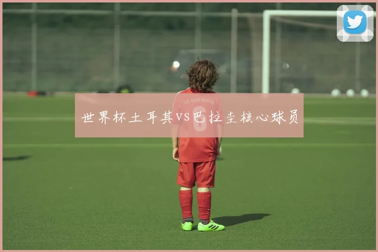 世界杯土耳其vs巴拉圭核心球员
