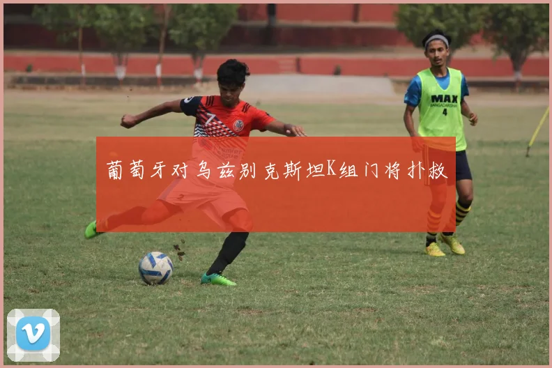 葡萄牙对乌兹别克斯坦K组门将扑救