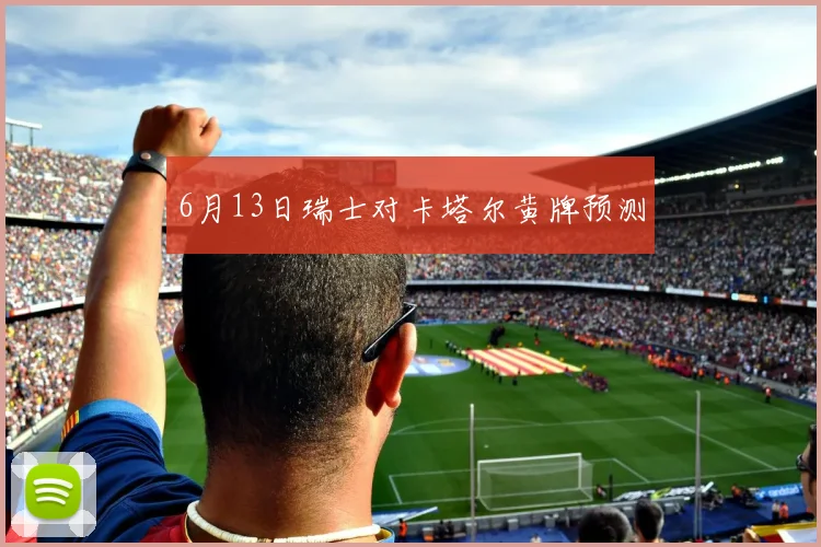 6月13日瑞士对卡塔尔黄牌预测