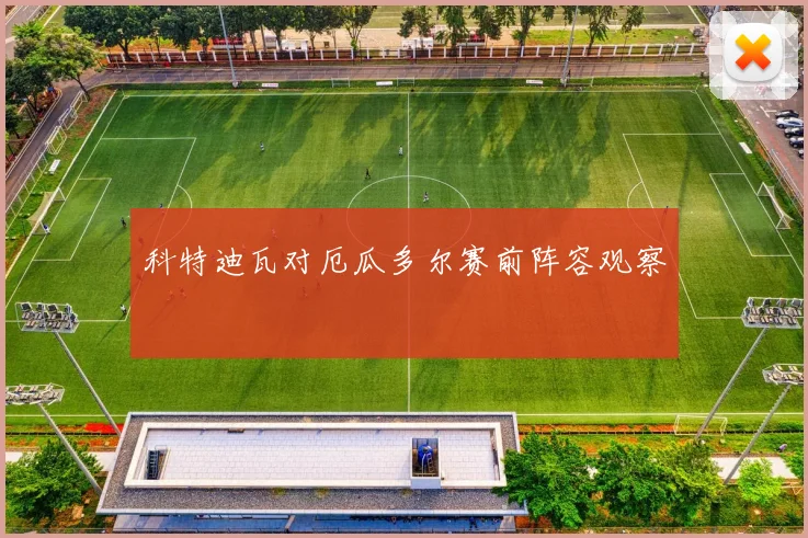 科特迪瓦对厄瓜多尔赛前阵容观察