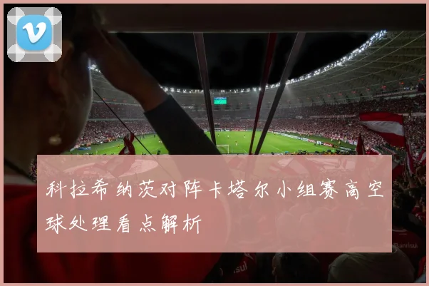 科拉希纳茨对阵卡塔尔小组赛高空球处理看点解析