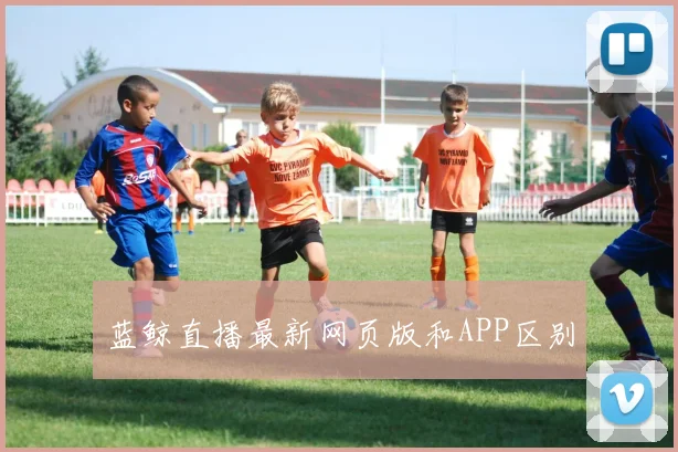蓝鲸直播最新网页版和APP区别