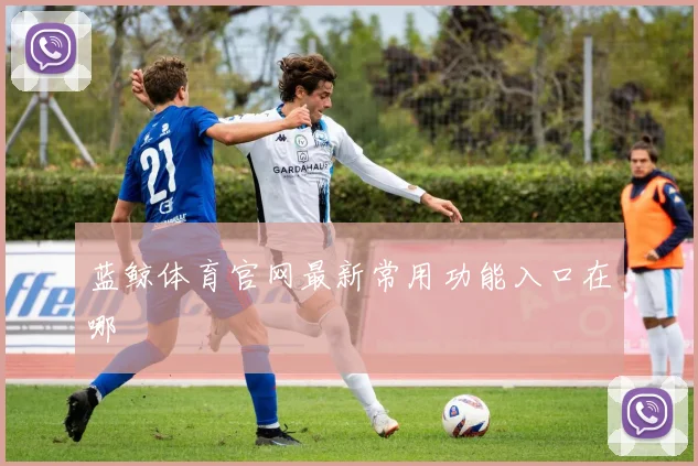 蓝鲸体育官网最新常用功能入口在哪